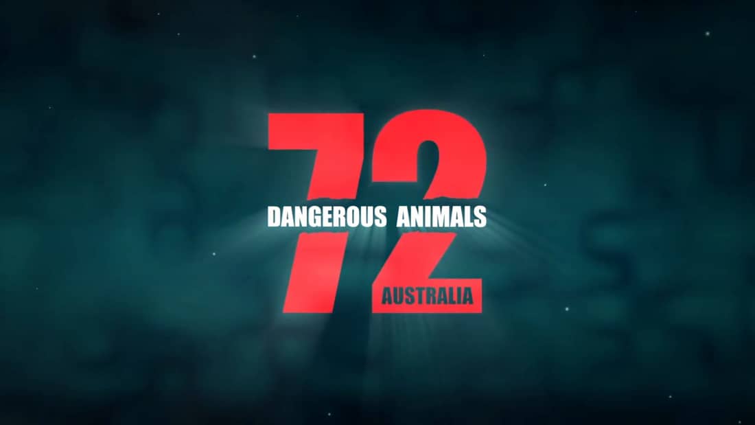 I have been working on this TV show, '72 Dangerous Animals of Australia'.  It's on air this August! Here is the trailer : r/television