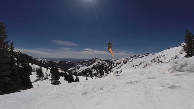 Sunny Bird from Ryan Mooney