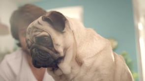 Deutsche Bahn "Das WM-Orakel"