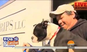 This Man Drove More Than 1 Million Miles to Save 2,000 Dogs