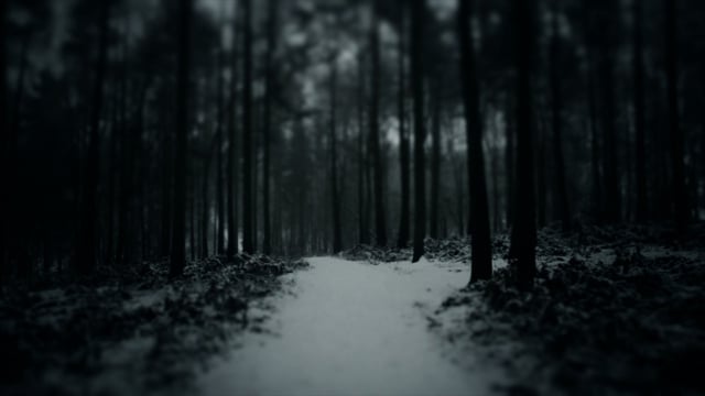 Hybrid - Break My Soul thumbnail