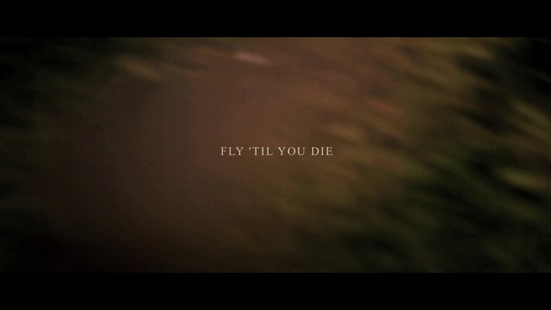 Fly 'Til You Die (Commission by Bacardi Ltd.)