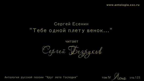 Тебе одной плету венок анализ. За горами за желтыми долами Есенин. Тебе одной плету венок Есенин. Стихи Есенина тебе одной плету венок. Стихи Есенина за горами за желтыми долами.