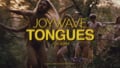 Joywave - &quot;Tongues (ft. KOPPS)&quot; - 2014 (3:55)