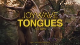 Joywave - “Tongues (ft. KOPPS)” - 2014 (3:55)