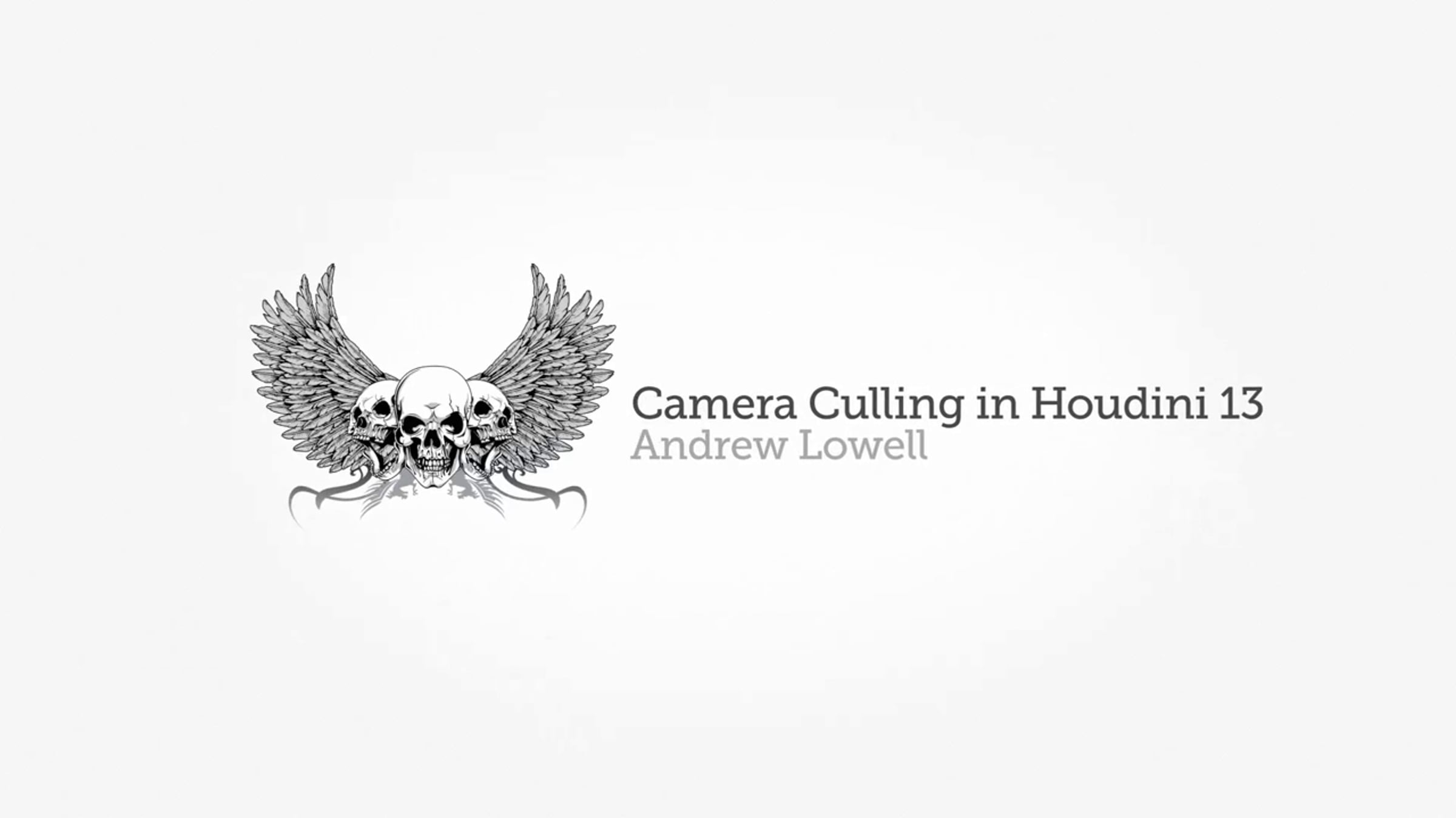 Houdini 13 Camera Culling