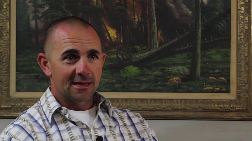 The Role of Fire in the Environment