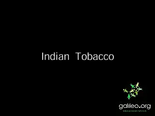quitting weed and tobacco at the same time How to Quit Smoking Weed