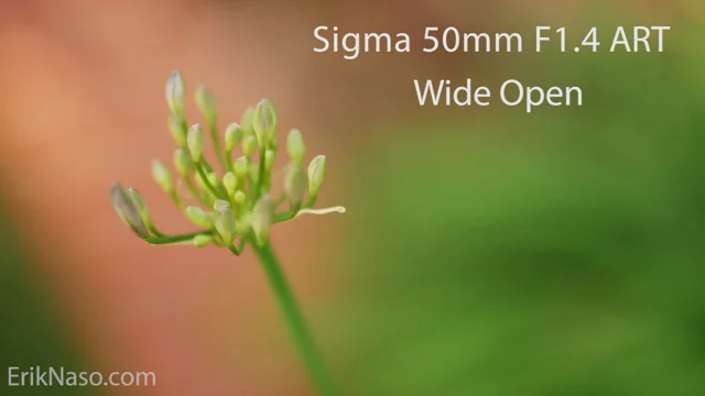 Perfect fitting Follow Focus Gear for Sigma 50mm F1.4 ART lens