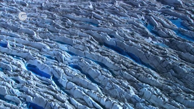 Planet Ocean