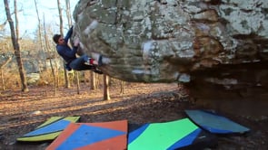 Mark Heal and Friends fly South for the Winter