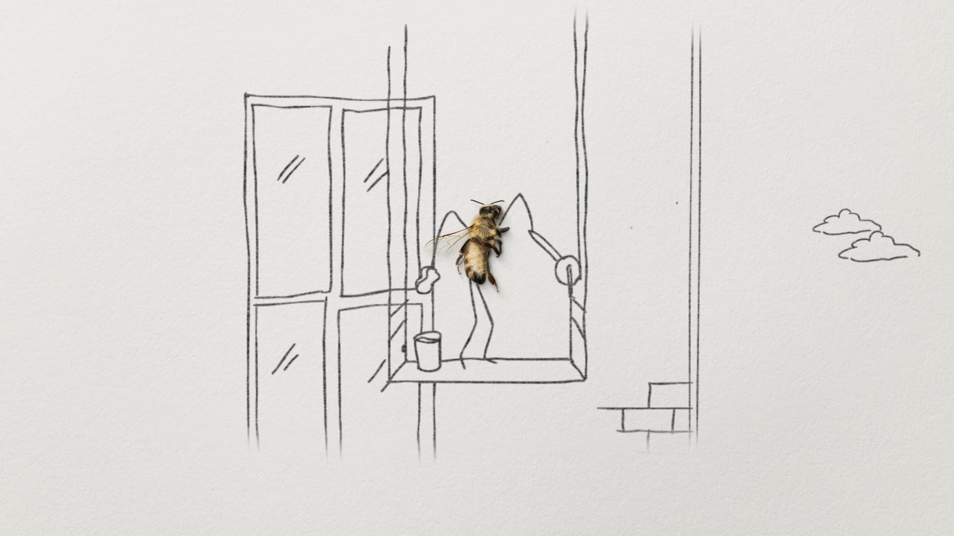 Save the bees: City limits