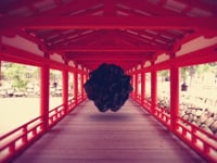 Data Mind (Zebbler Encanti Experience music video)