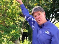 When to Call an Arborist
