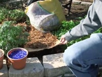 Better Gardening with Mulch