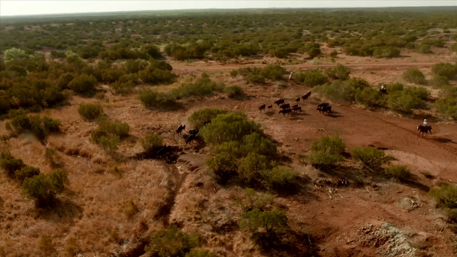 Ridin' for the Brand