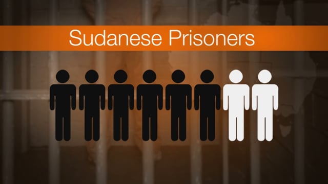 SBSWNA : Sudanese Prisoners Animation