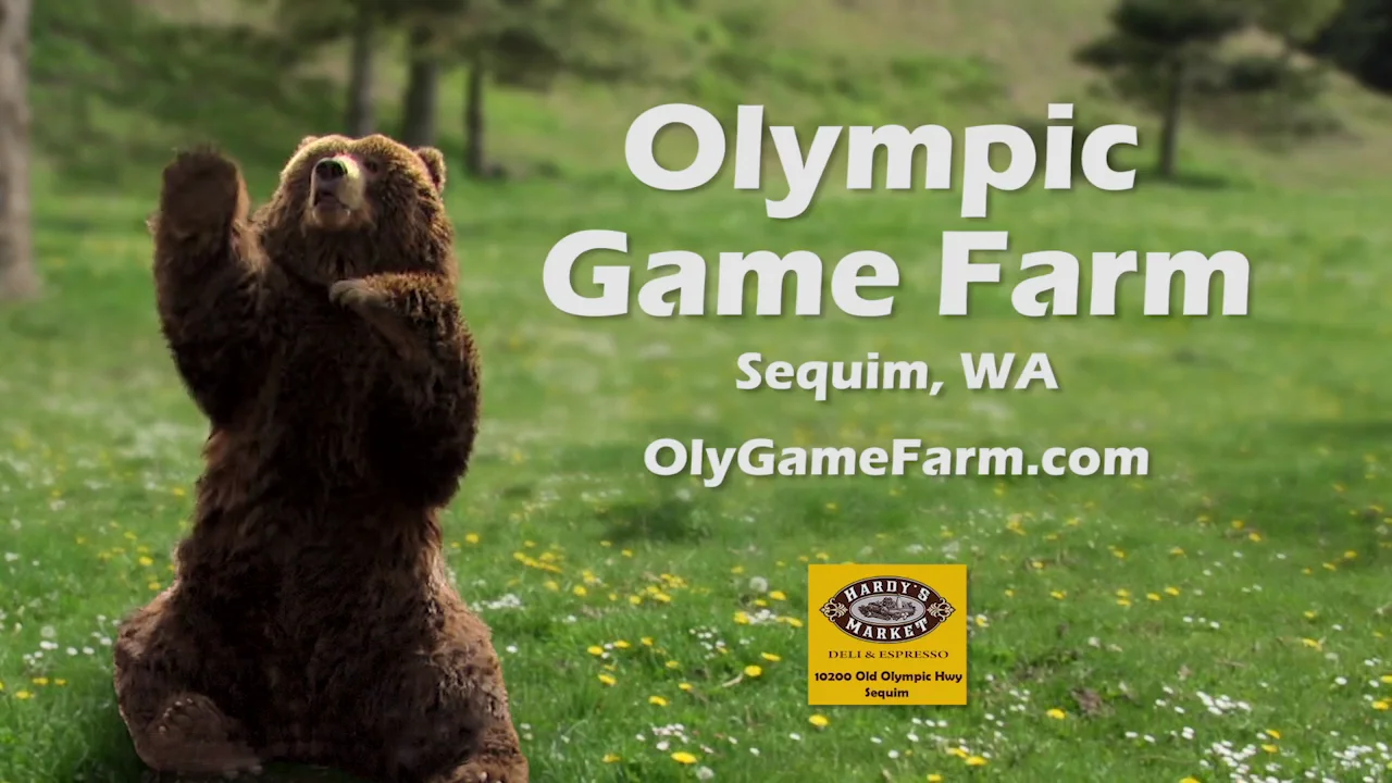 Waving Bears! Olympic Game Farm • Sequim, Washington 