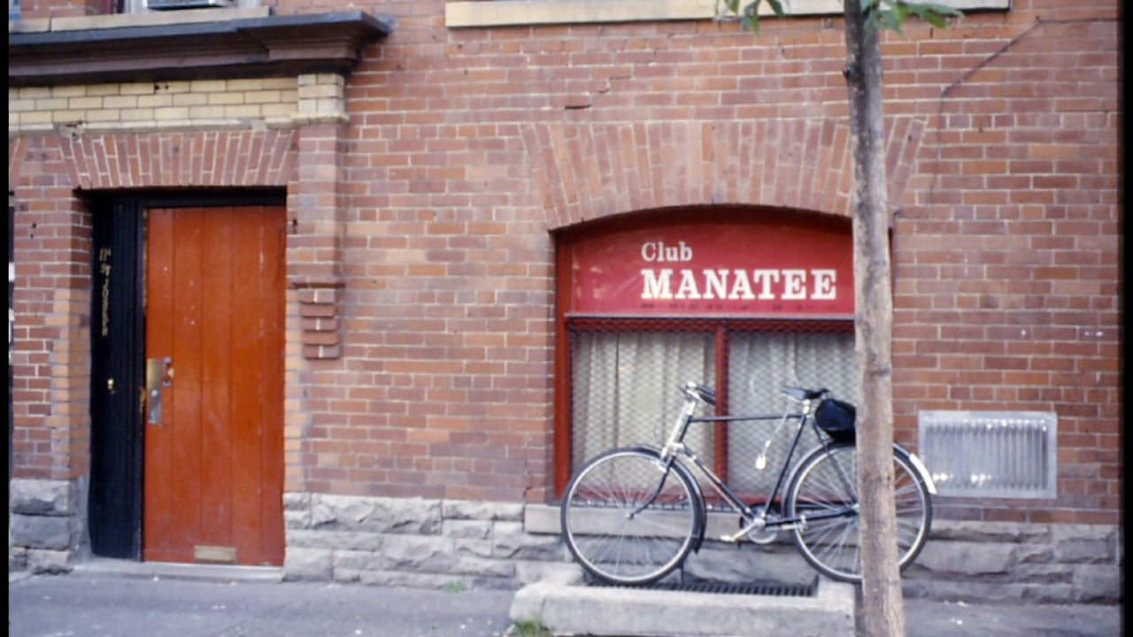 Club Manatee