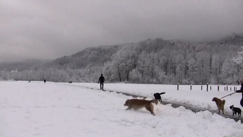 Preview: First snow in Zurich 2009