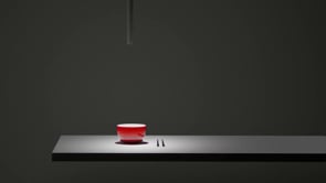 LA LUCE NEL PIATTO (en)