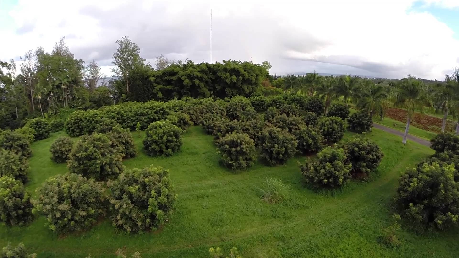 Papaikou Property Overview on Vimeo