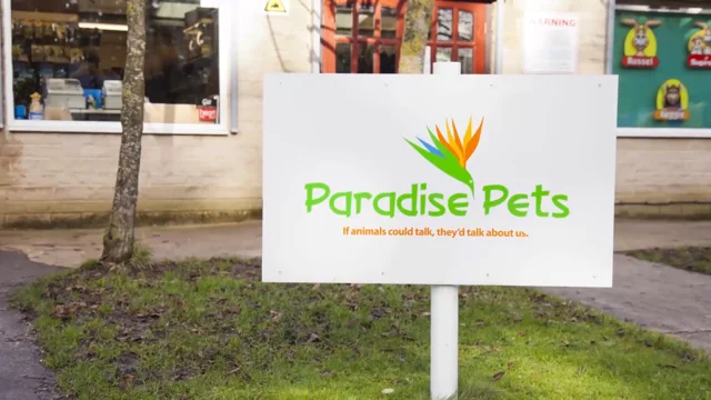 Paradise best sale pet supply