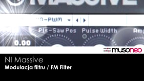 FM Filter