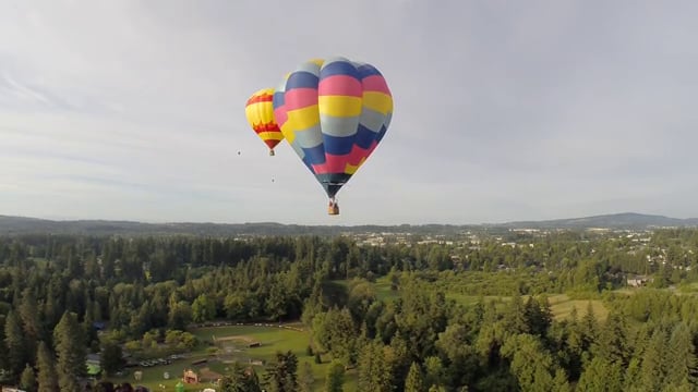 Festival of Ballons in Tigard - June 2014