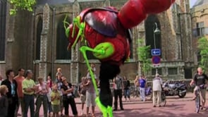Street Shows - Festivals