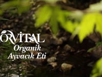 Orvital - Only Organic