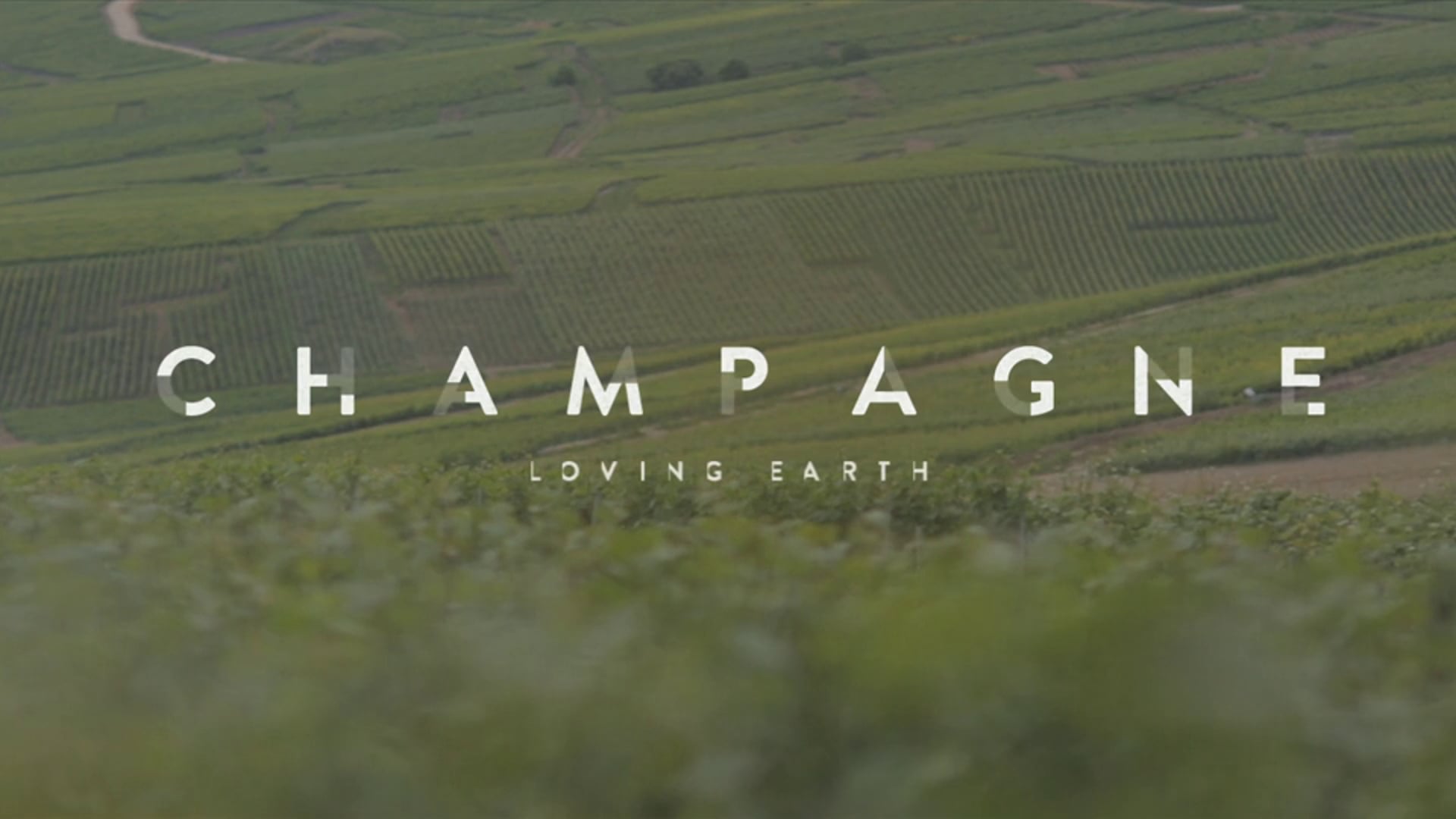 CHAMPAGNE LOVING EARTH