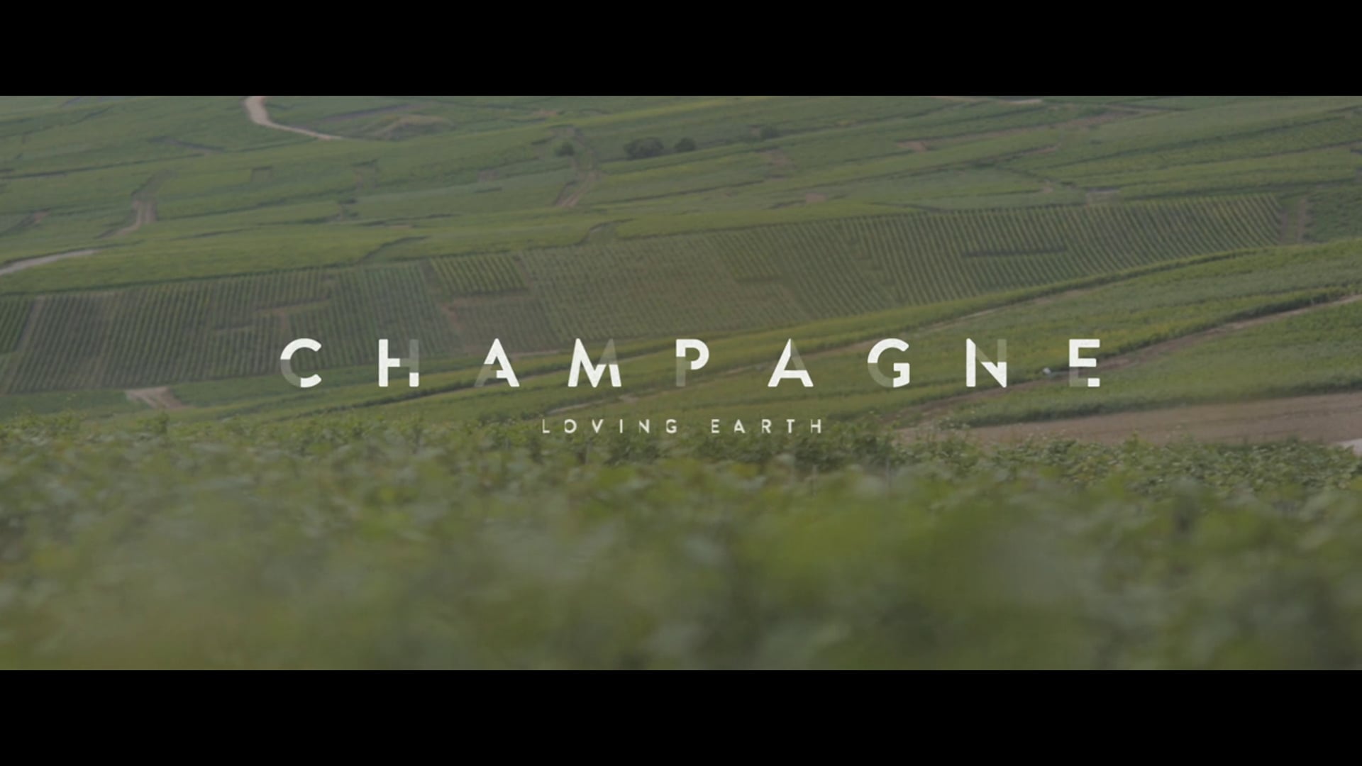 CHAMPAGNE LOVING EARTH