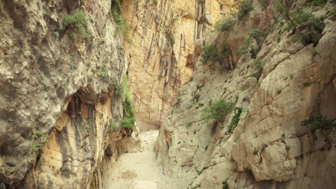 Prima Sardegna