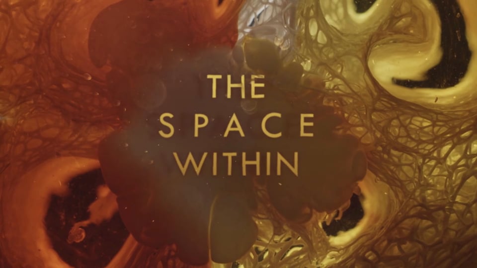 THE SPACE WITHIN