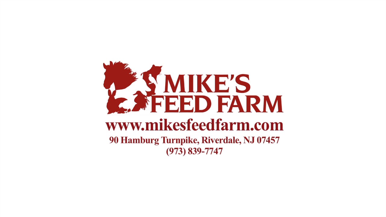 Mike's Feed Farm Short Version produced by Kaan Tulgar Productions