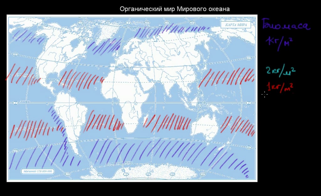 Биологическая карта мира