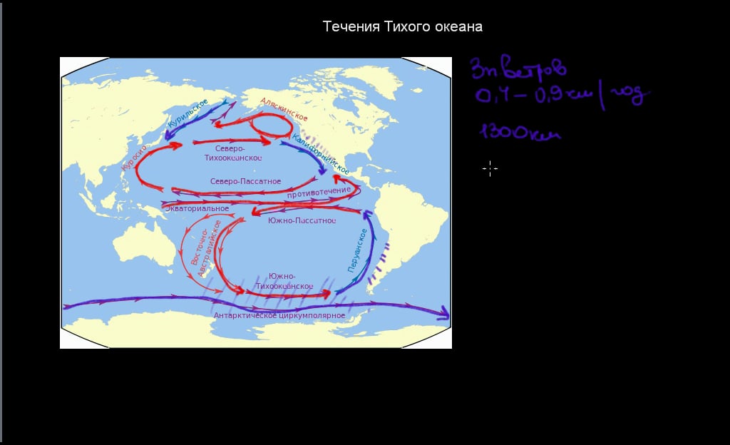 Карта течений тихого океана с названиями на русском