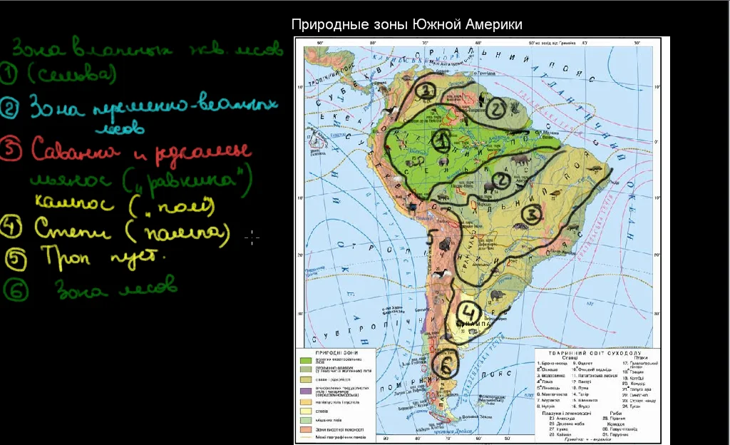 Контурная карта 7 класс природные зоны южной америки