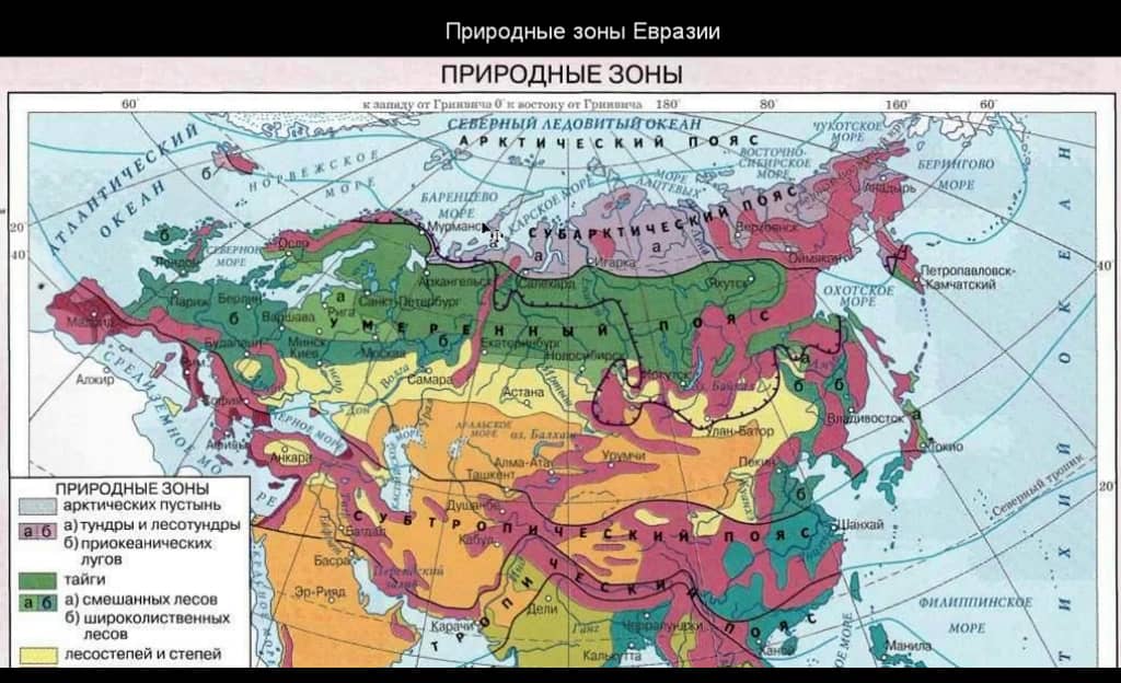 Рисунок природной зоны евразии