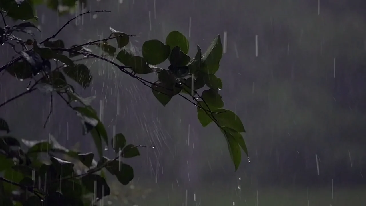 Дождь без перерыва. Живой дождь. Сильный дождь. Природа дождь. Ливень.