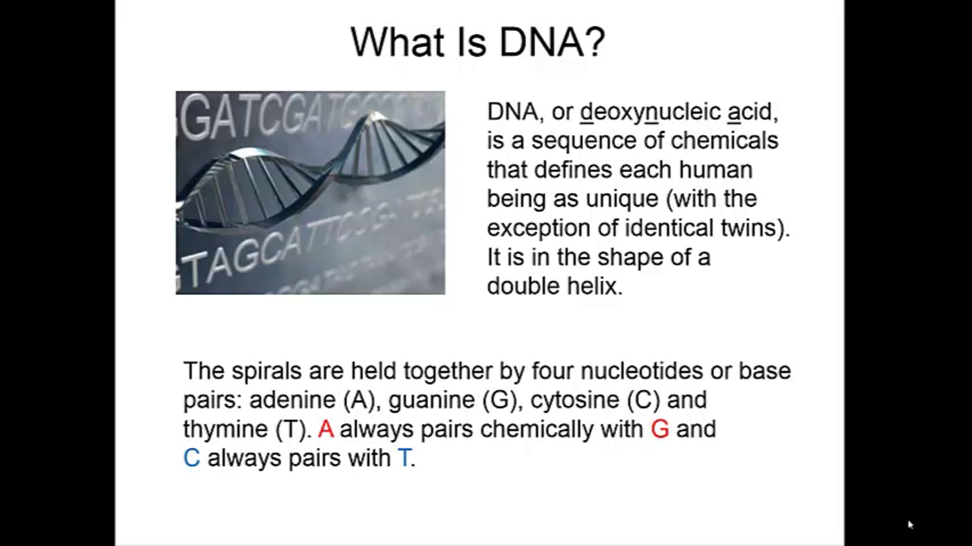 Understanding DNA