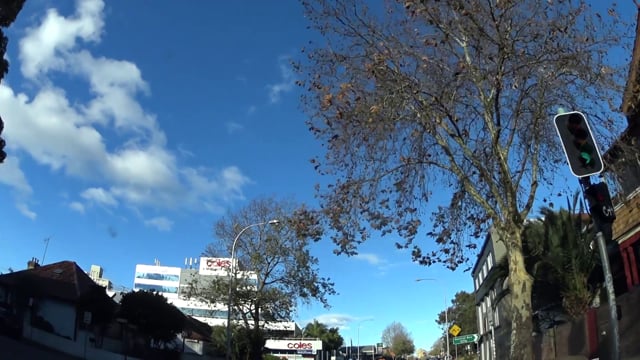 カメラ ビデオカメラ Sony HDR-AS100V Action Cam high-bitrate sample video