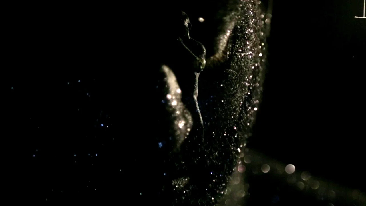 The Berlin Porn Film Festival 2014