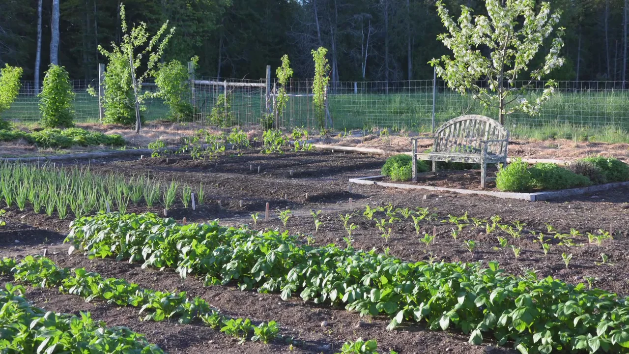 425 HD Master YouTube sharing, image size:1280x720