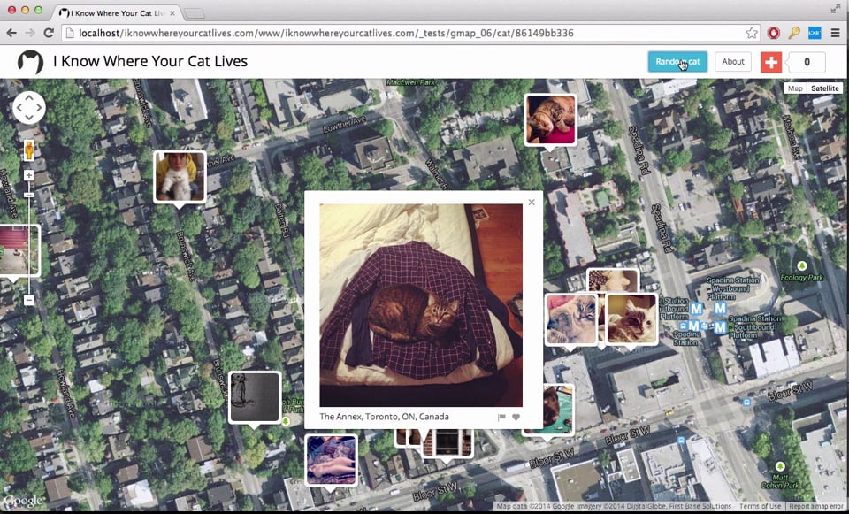 I Know Where Your Cat Lives