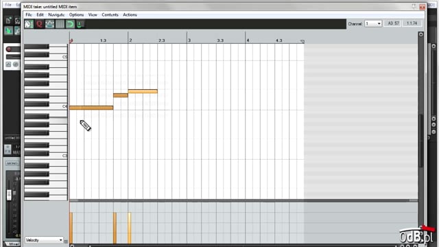 Zastosowanie Multi w sesji DAW - Kontakt 5