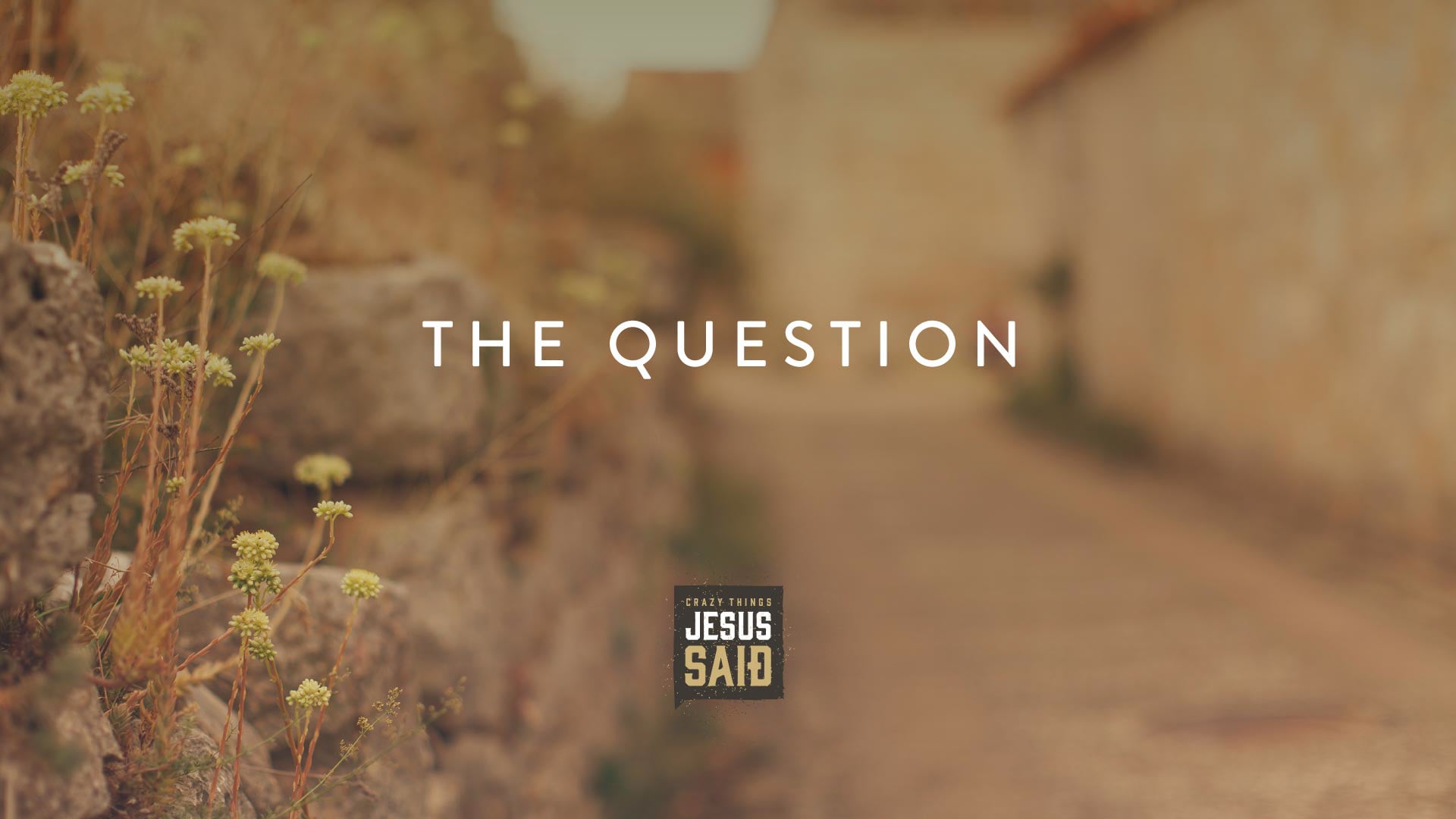 Part 10: The Question on Vimeo