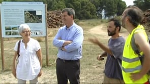 Contracten dues persones per fer tasques de manteniment i d'informació durant l'estiu a les Planasses.