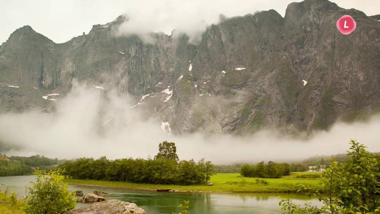 NATURE on Vimeo